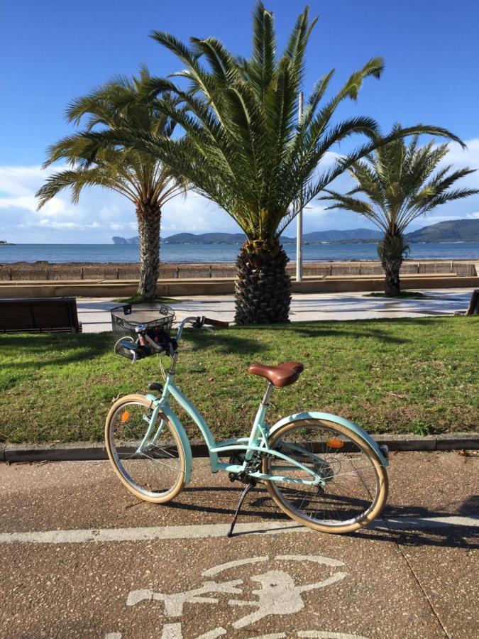 Nura's - Al Mare Sea Front Alghero